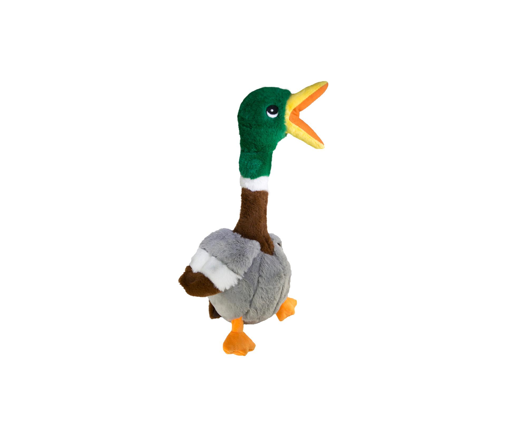 imagekh29h3valh2adqqISHb