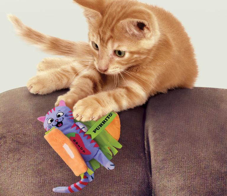 imagekigntsijsfff7EvCLto