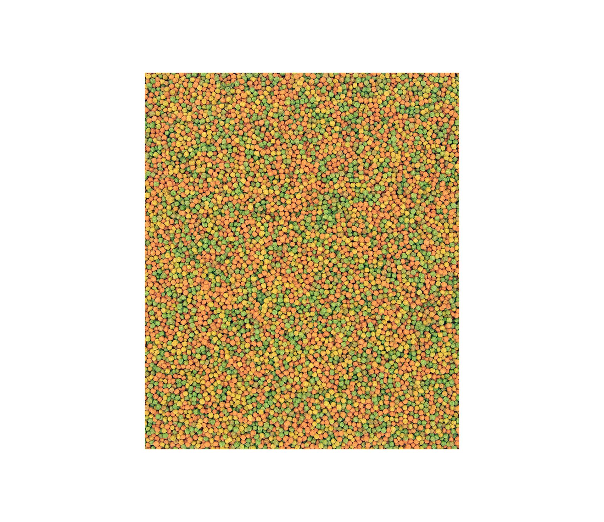 imagegcsoq2ornsv99Erzg7o