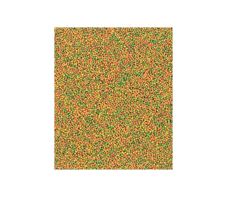 imagegcsoq2ornsv99Erzg7o