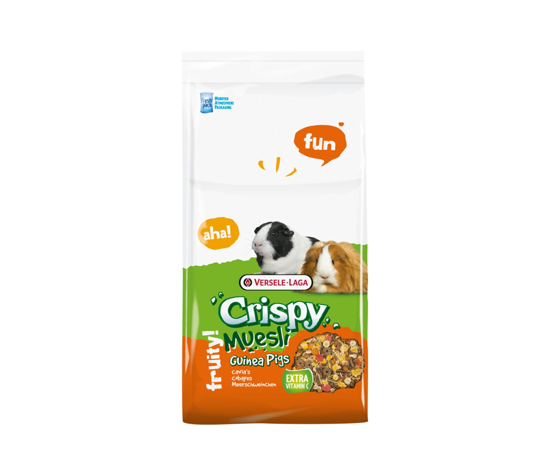 imageefnss1oupgn37WKcvYs