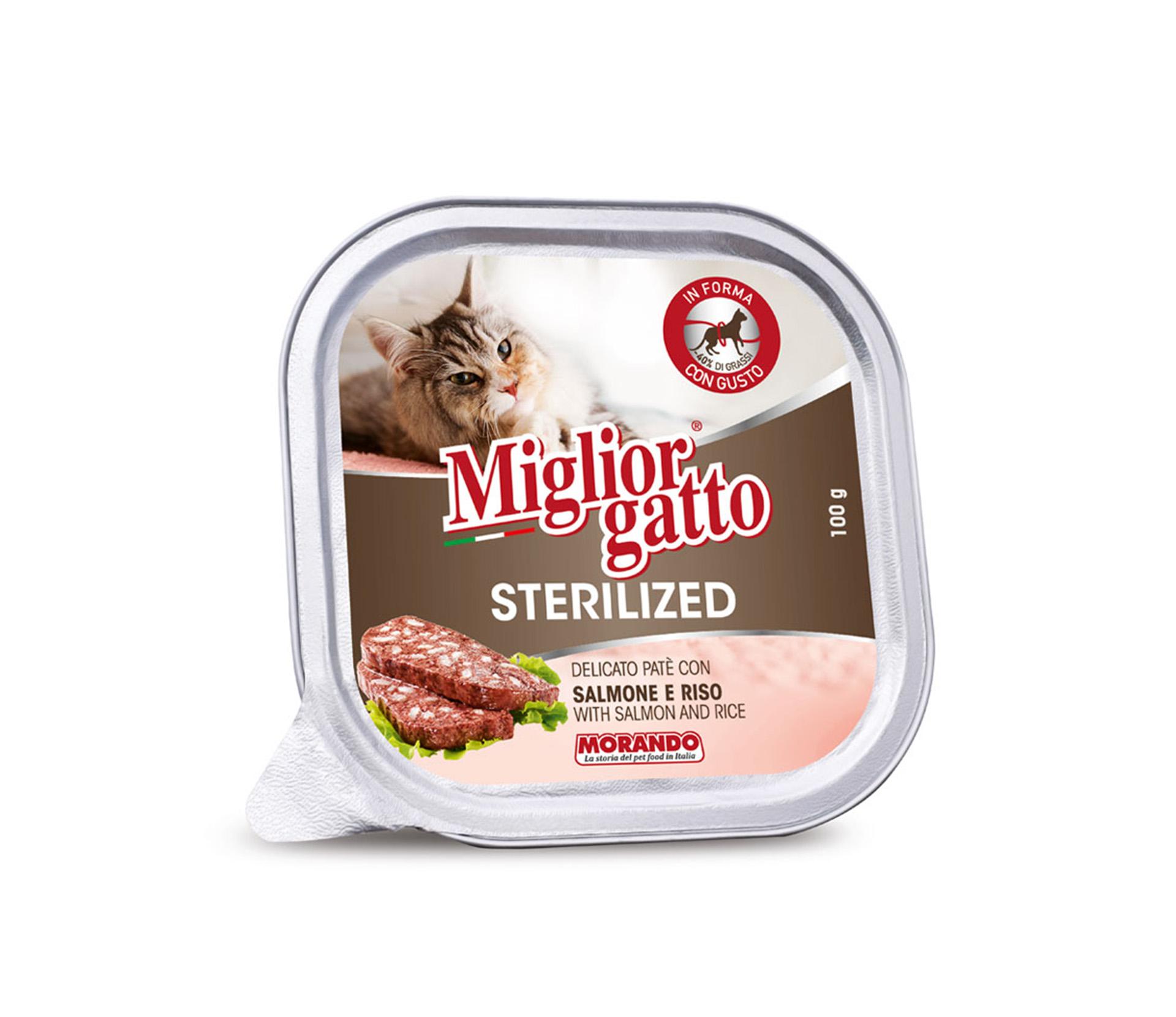 imagevdh0g9vnkbtb0xDGE0q