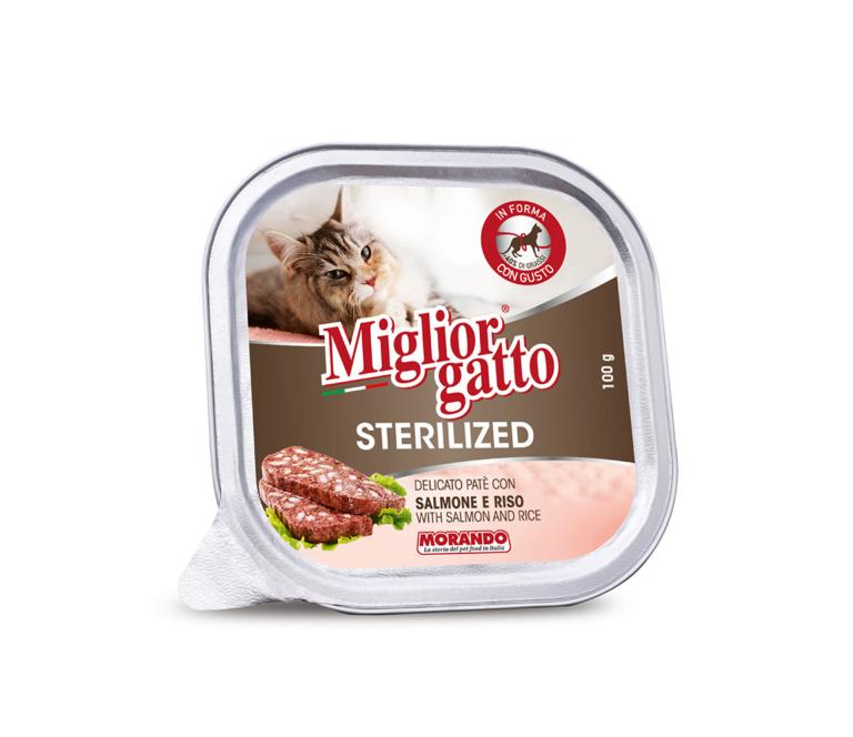 imagevdh0g9vnkbtb0xDGE0q