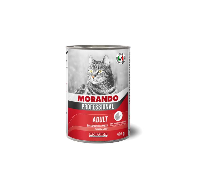 image1ls010al3g5q3eXGXUb