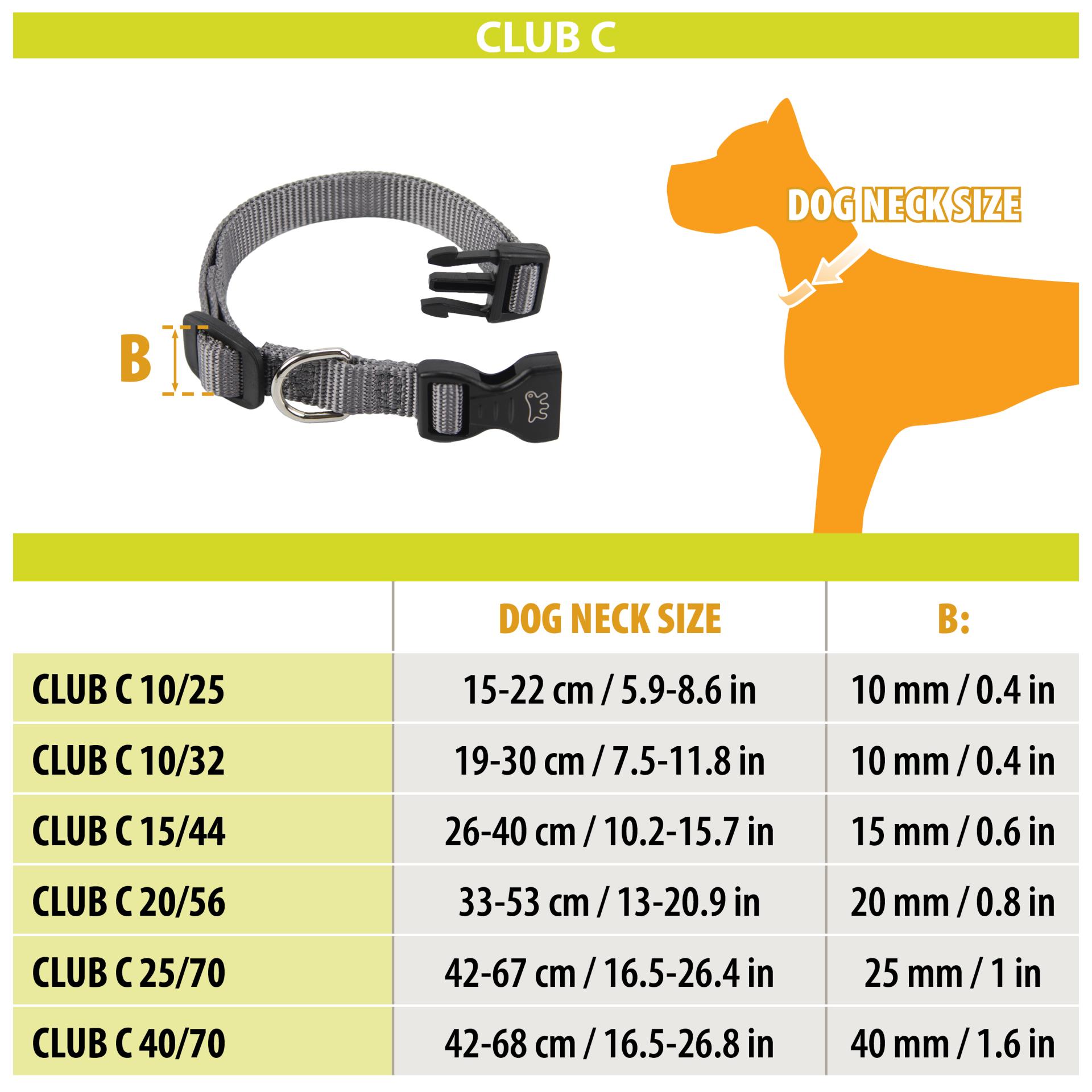 image0mt4ognq6o7aeQU6jCs