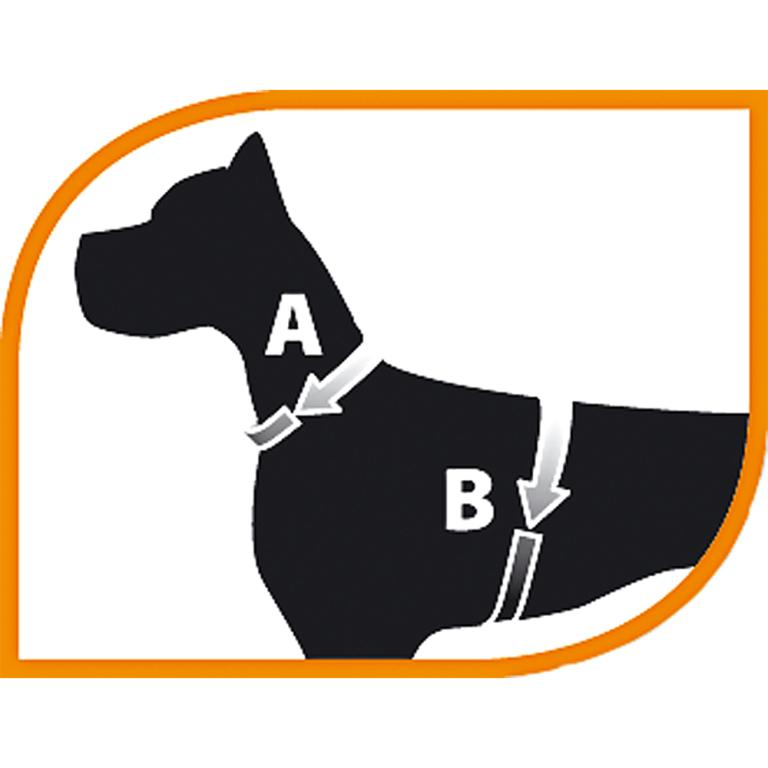 image4mth2j6nbfq7c0axAU5