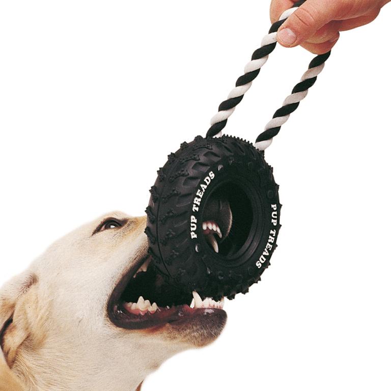 imageghgabptfbrd1fyvEoGm